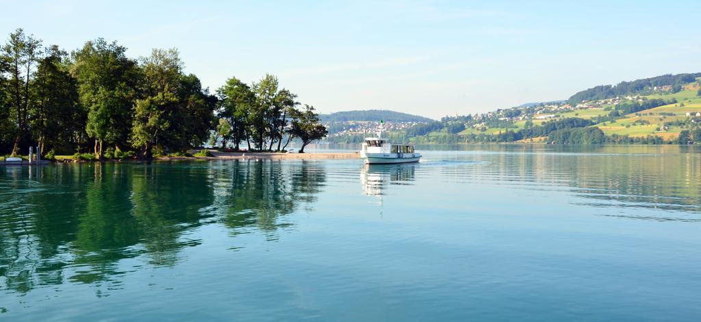 Seehotel Delphin Meisterschwanden Exteriér fotografie