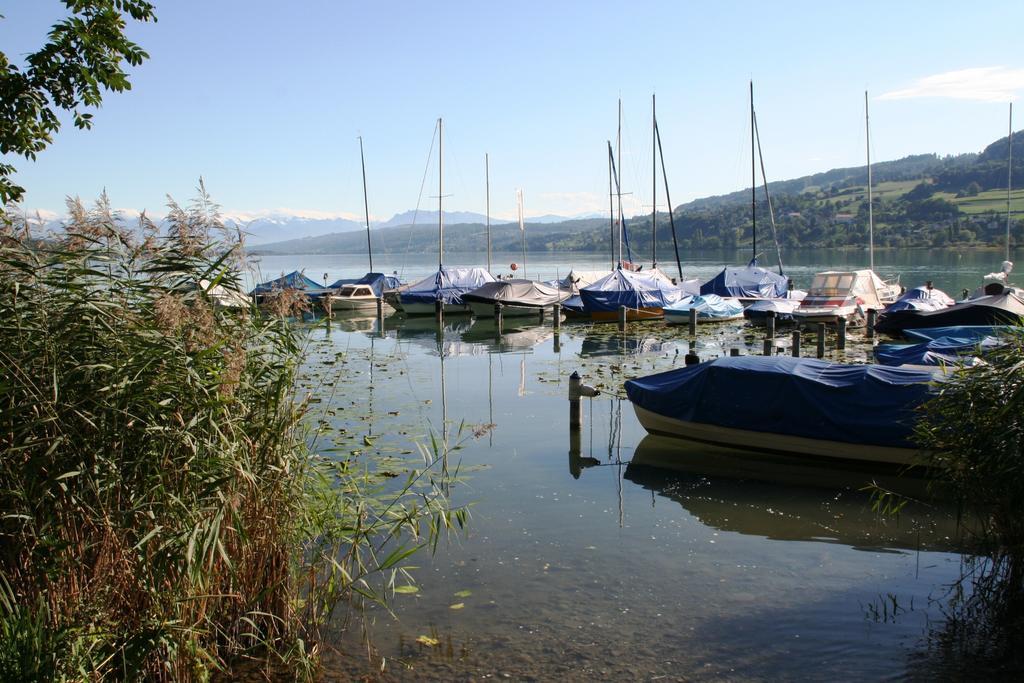 Seehotel Delphin Meisterschwanden Exteriér fotografie