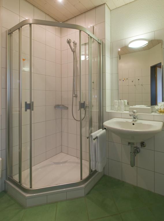 Seehotel Delphin Meisterschwanden Pokoj fotografie