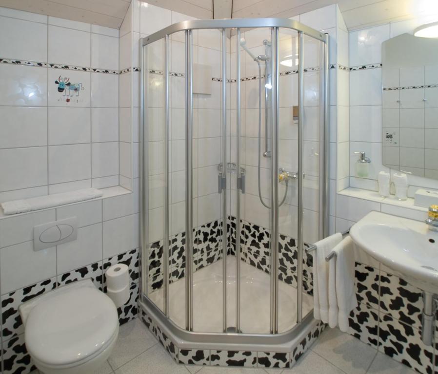Seehotel Delphin Meisterschwanden Pokoj fotografie